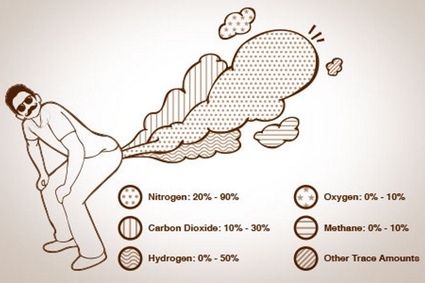 fart-share-fart-composition-fartshare