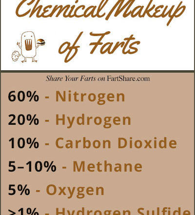 chemical makeup of farts